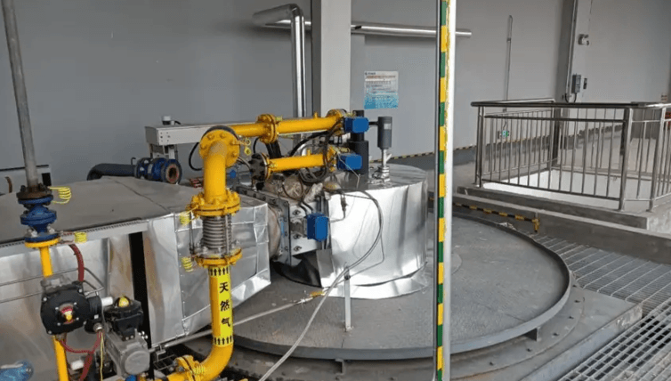 伟德体育官方下载