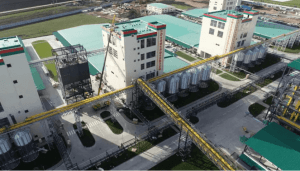 kxu02为白俄罗斯农工综合体配套50吨燃气锅炉低氮燃烧器项目