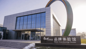 康师傅控股有限公司