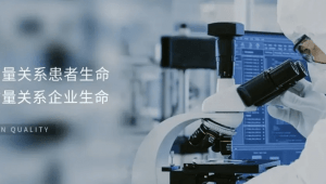 kxu02为修正药业配套ES-GE系列低碳燃烧器制药生产项目