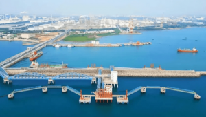 中石化海南炼化2台1500万大卡导热油炉项目