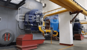 kxu02为天津东达供热大直沽供热站配套21MW热水锅炉燃烧器低氮改造项目